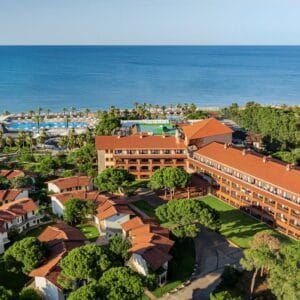 Papillon Belvil-belek-turkije